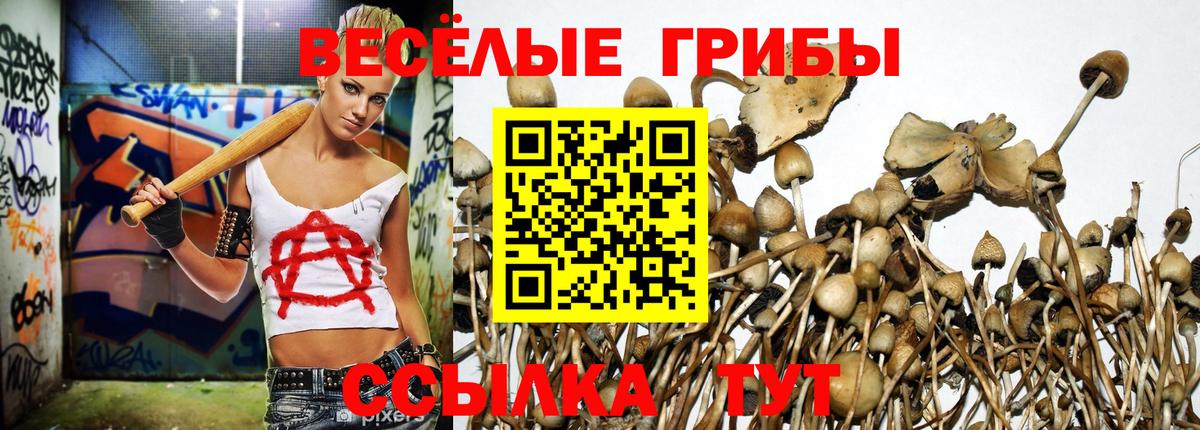 где продают   Псилоцибиновые грибы прущие грибы  Вход с VPN  Артёмовский 